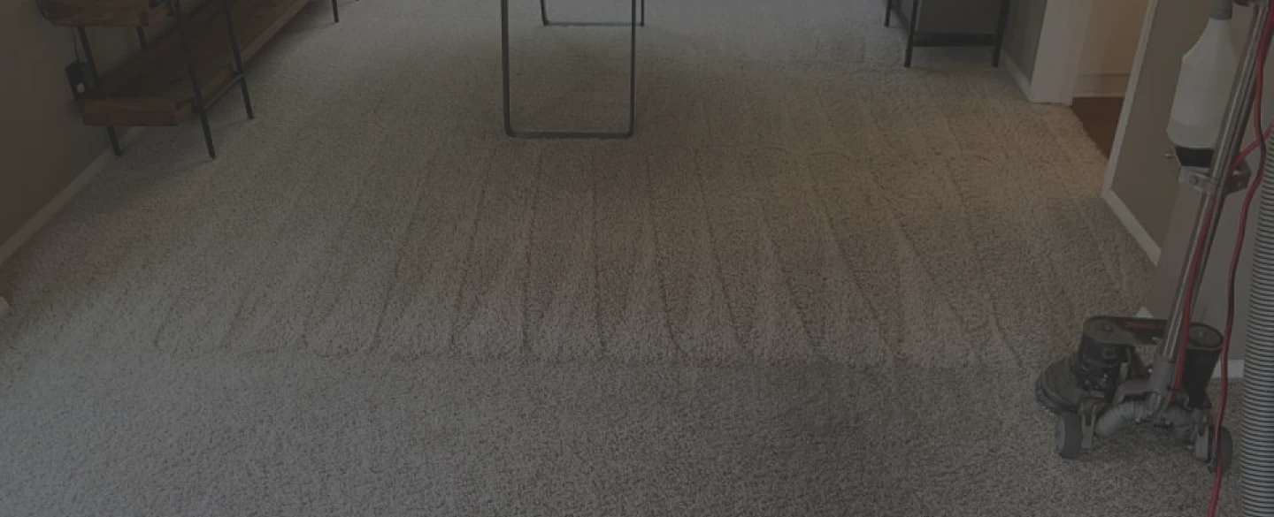 hero stain odor white carpet cleaning castaic ca