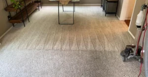 after carpet cleaning residential castaic ca