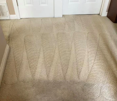 clean carpet cleaning castaic ca