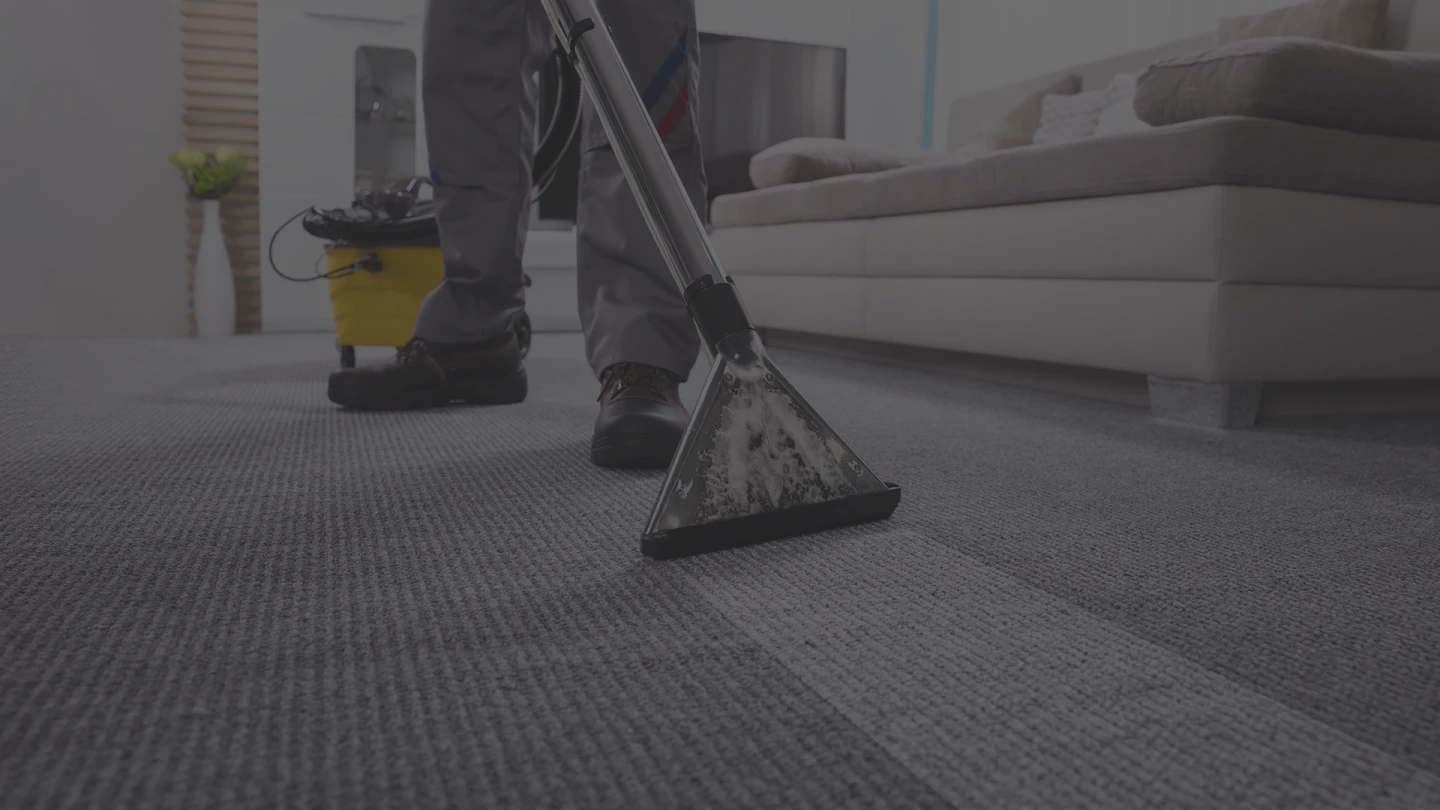 professional carpet cleaner carpet cleaning castaic ca