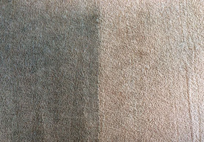 split stain odor carpet cleaning castaic ca